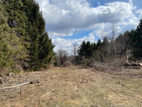 134 Avery Hill Rd, Ledyard, CT 06339 photo 1