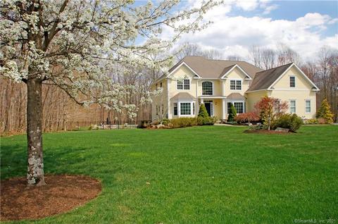 10 Night Hawk Ln, Newtown, CT 06482 photo 1