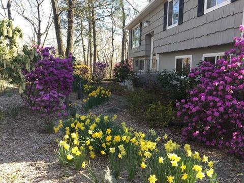 45 Guinea Rd, Monroe, CT 06468 photo 1