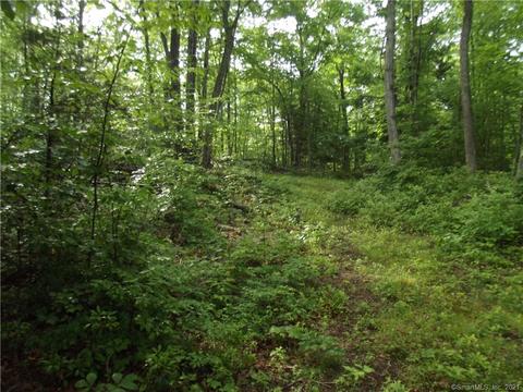 103 Brickyard Rd, Preston, CT 06365 photo 1