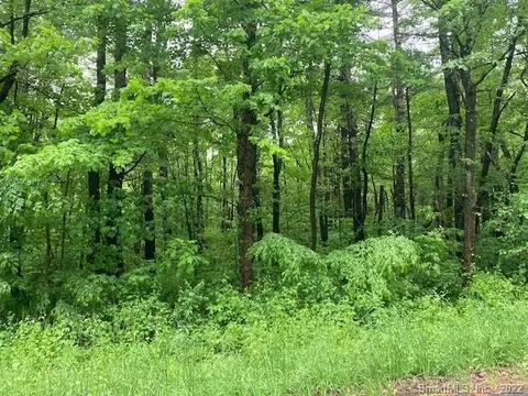 999 Turkey Hollow Ln, Goshen, CT 06756