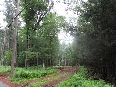 260 Ballamahack Rd, Windham, CT 06280 photo 1