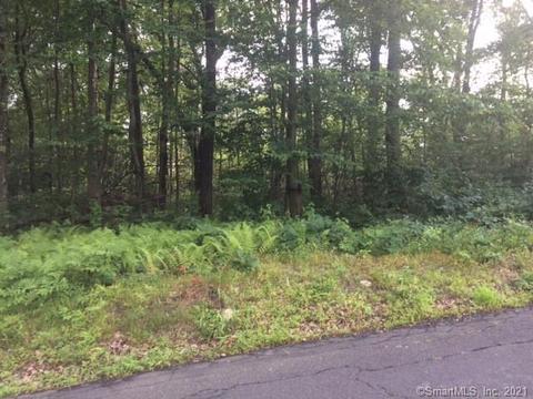 33 Falls Rd, Bethany, CT 06524 photo 1