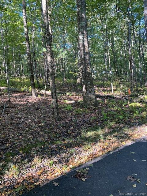 0 Lake Drive Ext, Bethlehem, CT 06751