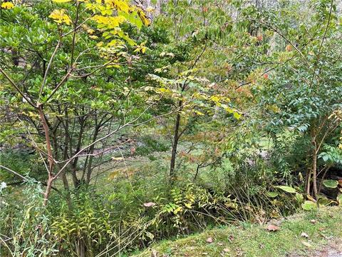 5 Smith Pl, Cornwall, CT 06796 photo 1
