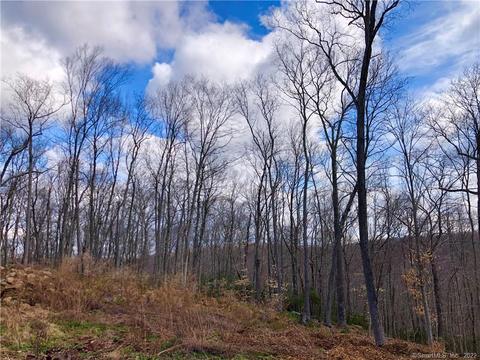 468 Moodus Rd, East Hampton, CT 06424 photo 1