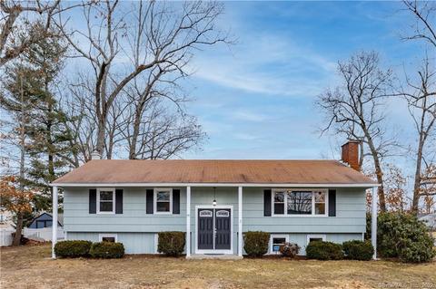 141 Raffia Rd, Enfield, CT 06082 photo 1