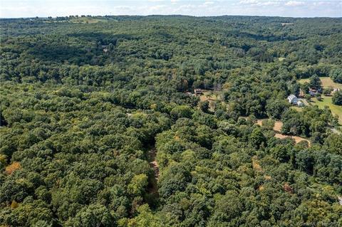 323 New Milford East Rd, Bridgewater, CT 06752