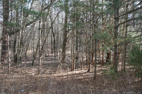 7 Scarborough Rd, Windham, CT 06280 photo 1