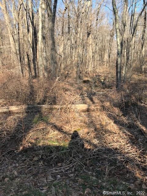 150 Witter Rd, Salem, CT 06420