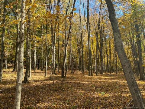 3 Hurd Park Road, East Hampton, CT 06424