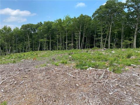 418 Sawmill Rd, Burlington, CT 06013