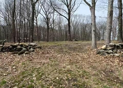 100 Cedar Hill Rd, Bridgewater, CT 06752