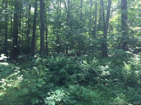 1 Mount Sanford Road, Cheshire, CT 06410