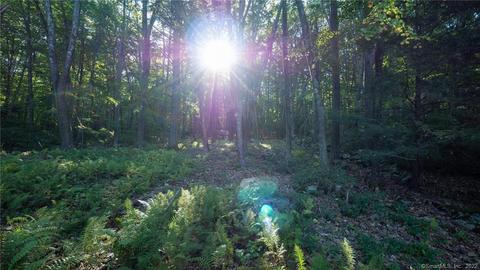 13 Lebanon Hill Rd, Woodstock, CT 06281