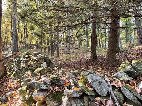 00 Old Lane Ln, Roxbury, CT 06783