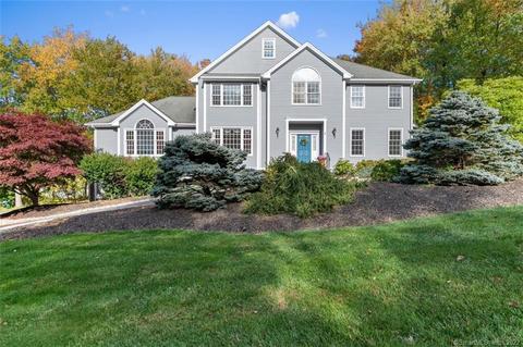 31 Mountain Manor Rd, Newtown, CT 06482 photo 1