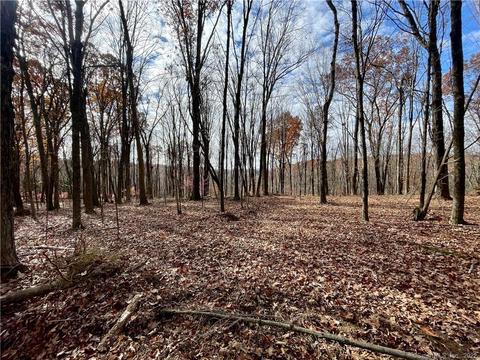 0 Minortown Rd, Woodbury, CT 06798