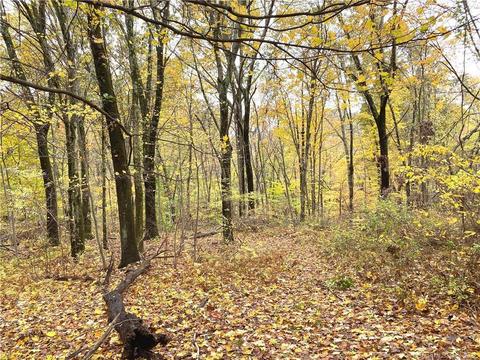 00 Phaeton Dr, Roxbury, CT 06783