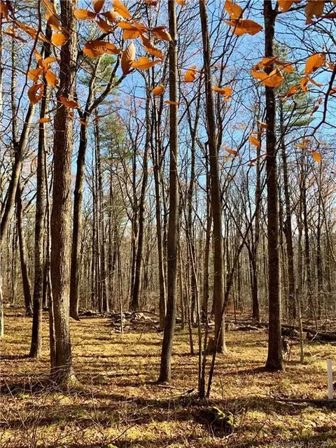 315 Ashpohtag Rd, Norfolk, CT 06058