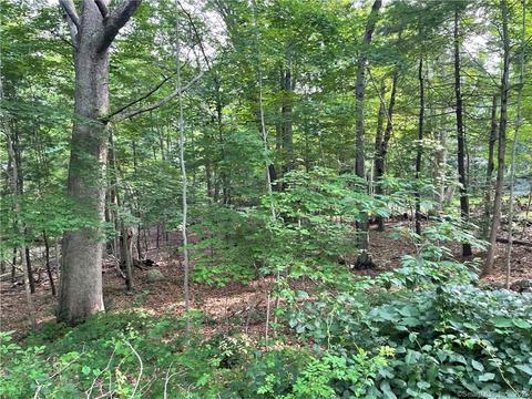 225 N Parker Hill Rd, Killingworth, CT 06419