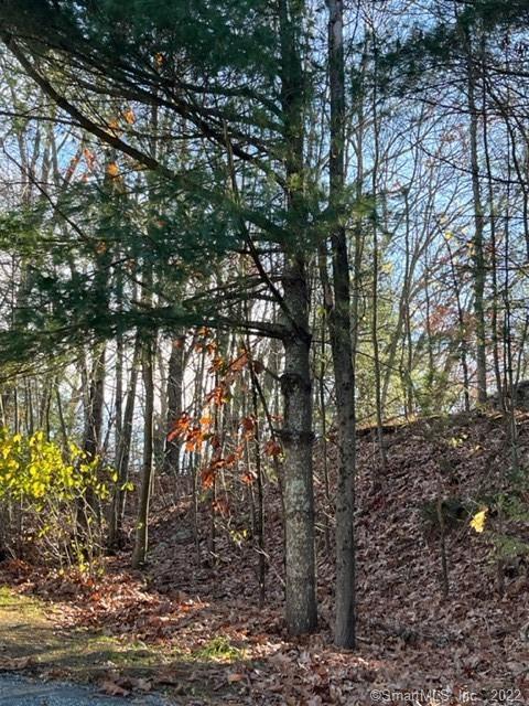 155 Groveland Ave, Putnam, CT 06260