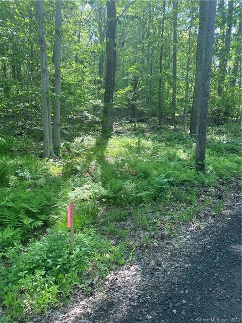 20 Beckwith Rd, Killingworth, CT 06419