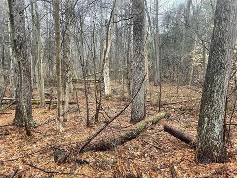 0 Cox Rd, Portland, CT 06480