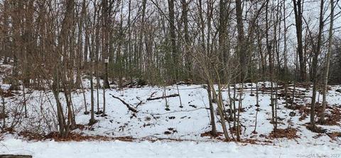 41 Westland Rd, Avon, CT 06001