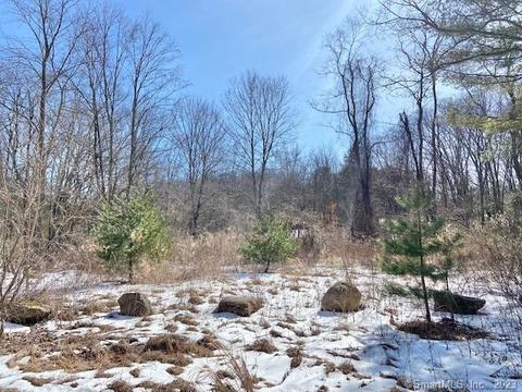 75 Haynes Rd, Avon, CT 06001