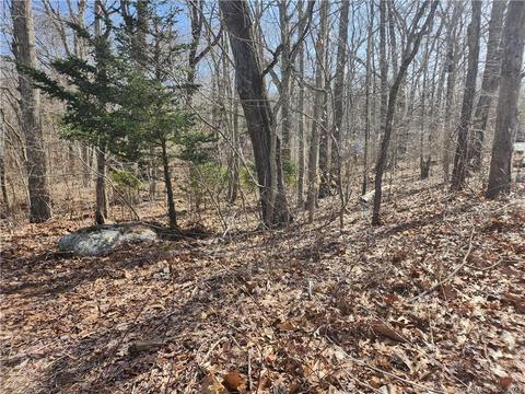 477-478 Deepwood Dr, Hebron, CT 06248
