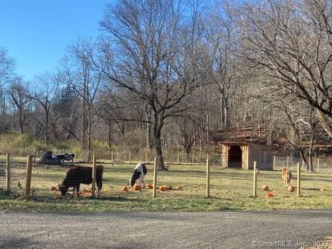 339 Wellsville Ave # a, New Milford, CT 06776