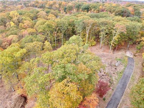 225 Orchard Ave, Woodbury, CT 06798