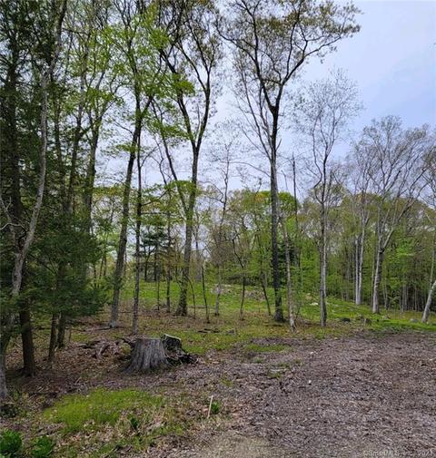 57 Kellogg Rd, Marlborough, CT 06447
