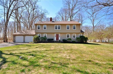 6 Crabapple Ln, Newtown, CT 06482