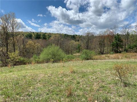 42 Dillenback Rd, Somers, CT 06071