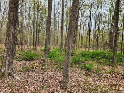 40024 Fermier Rd, Willington, CT 06279