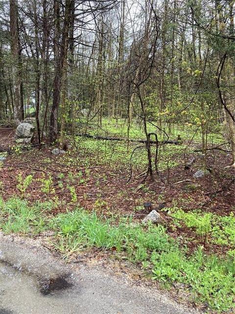 111 Highview Dr, Winchester, CT 06098