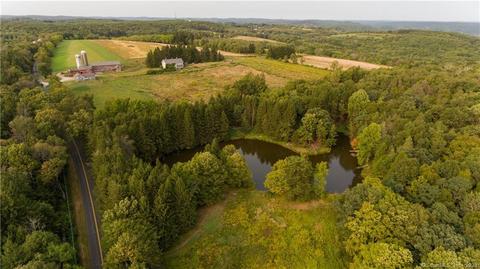 0 Town Farm Rd, Litchfield, CT 06759