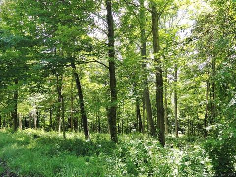 0 Martha St, Torrington, CT 06790