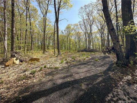177 Buell Rd, Litchfield, CT 06759