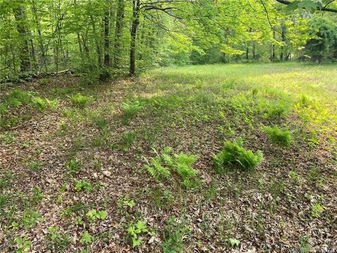 74 N Parker Aka Lot 1 Rd, Marlborough, CT 06447