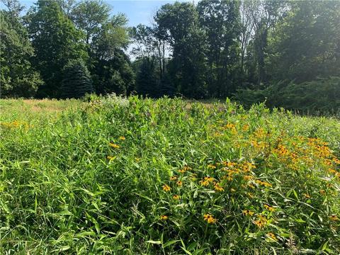 45 Jeremy Hill Rd, North Stonington, CT 06359