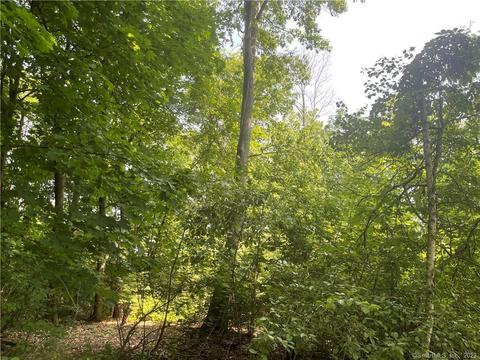67 Lakeview Ave, Hamden, CT 06514