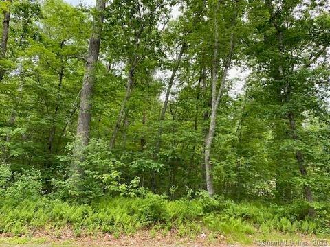 2 Kitt Road, Canterbury, CT 06331