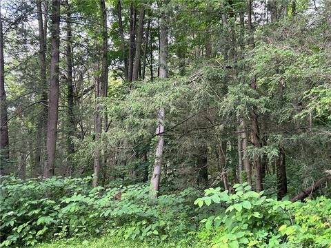 00 Clearview Ave, Harwinton, CT 06791