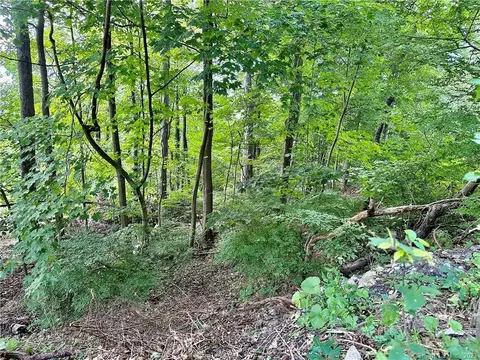 3 Fenwick Rd, New Fairfield, CT 06812