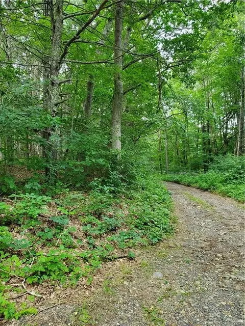 0 Town Line Ext Armitage Rd, Ashford, CT 06278