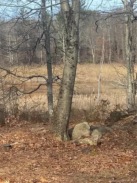 0 Hageman Shean Rd, Goshen, CT 06756