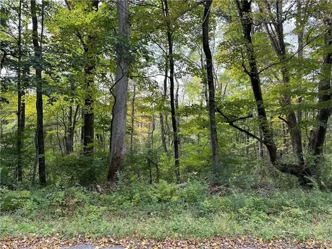 0 Lake Rd, Warren, CT 06754 photo 4